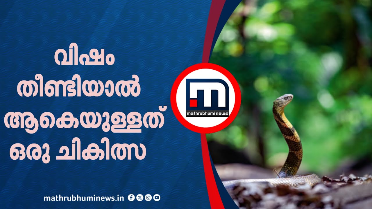 'വിഷം തീണ്ടിയാൽ ആകെയുള്ളത് ഒരു ചികിത്സ, പച്ചമരുന്നുകൾ ഫലപ്രദമല്ല' | Snake Bite | Anti Venom