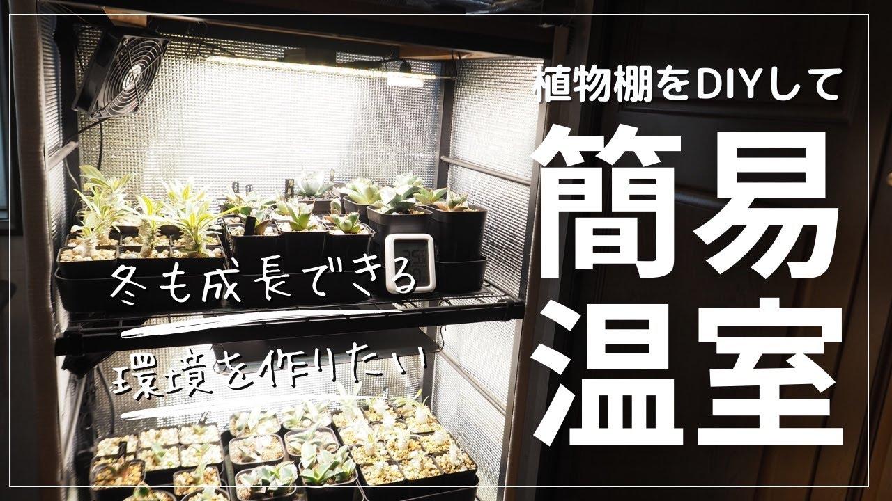 塊根植物や多肉植物を冬でも成長させたい！冬越しに植物棚を簡易温室にdiy！植物ヒーターマット＆植物育成パネルライトを使用