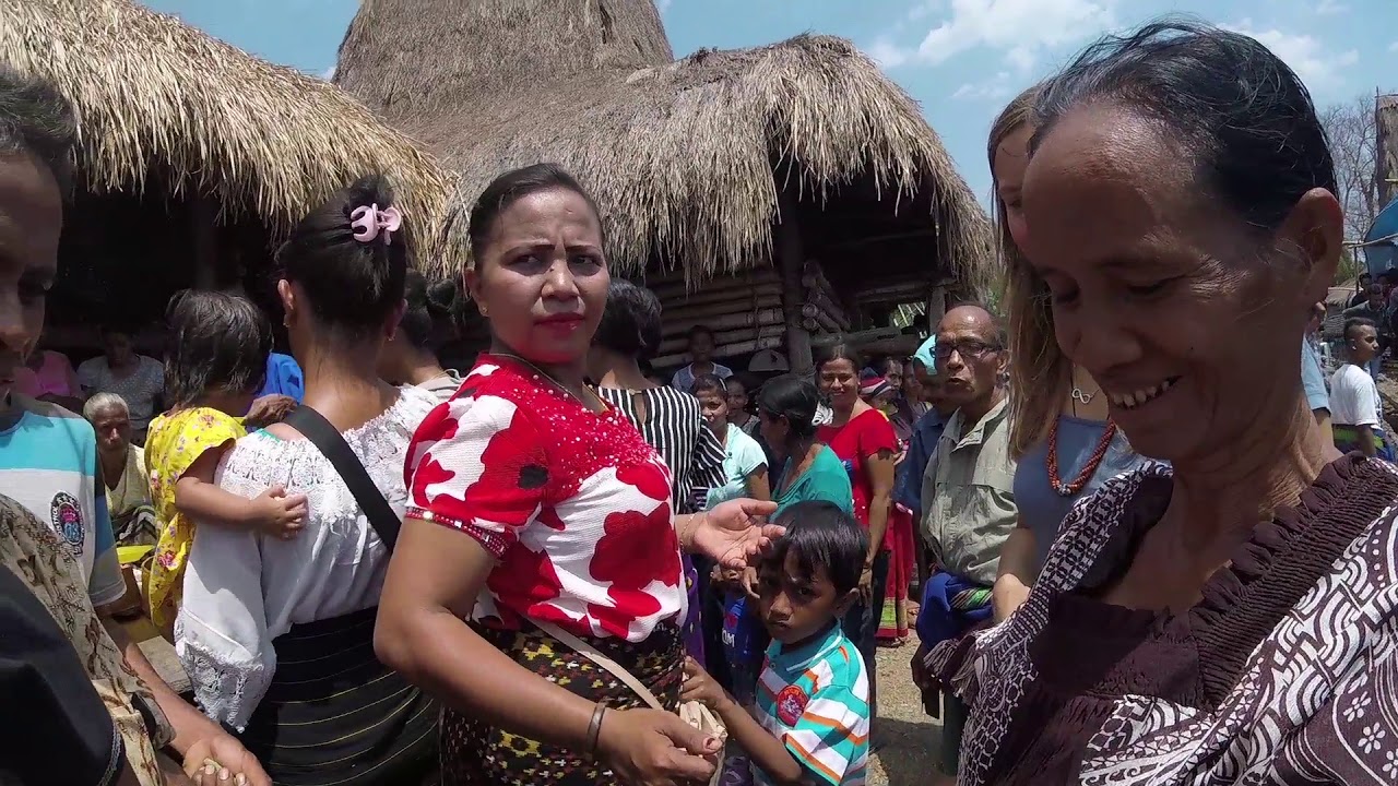Traditional cultures of Sumba - the best Indonesian experience
