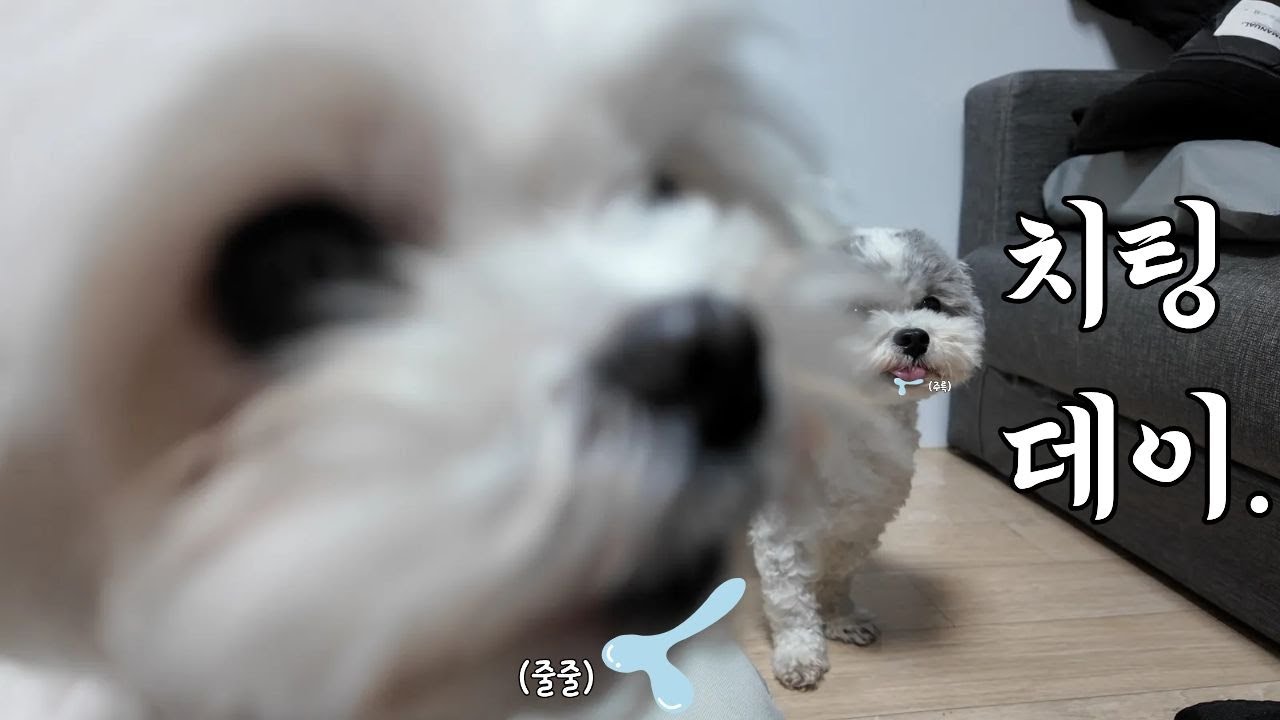다이어트 할 마음, 100%는 아니야