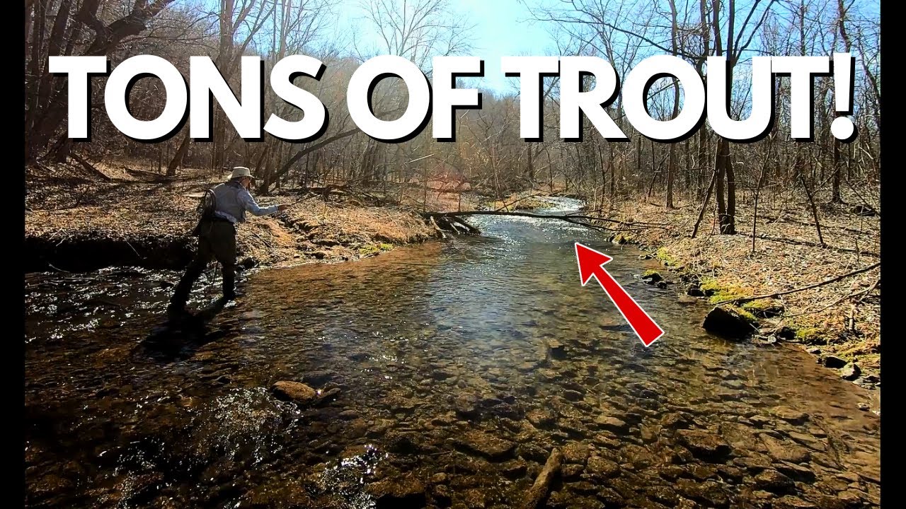 TENKARA FISHING A SMALL PEACEFUL STREAM FULL OF TROUT!  (Tenkara Fly Fishing) Featuring DAVE!