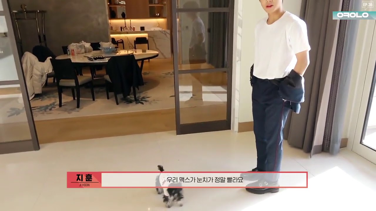 박지훈 반려견 맥스와 한때 오케워너원Ep.36