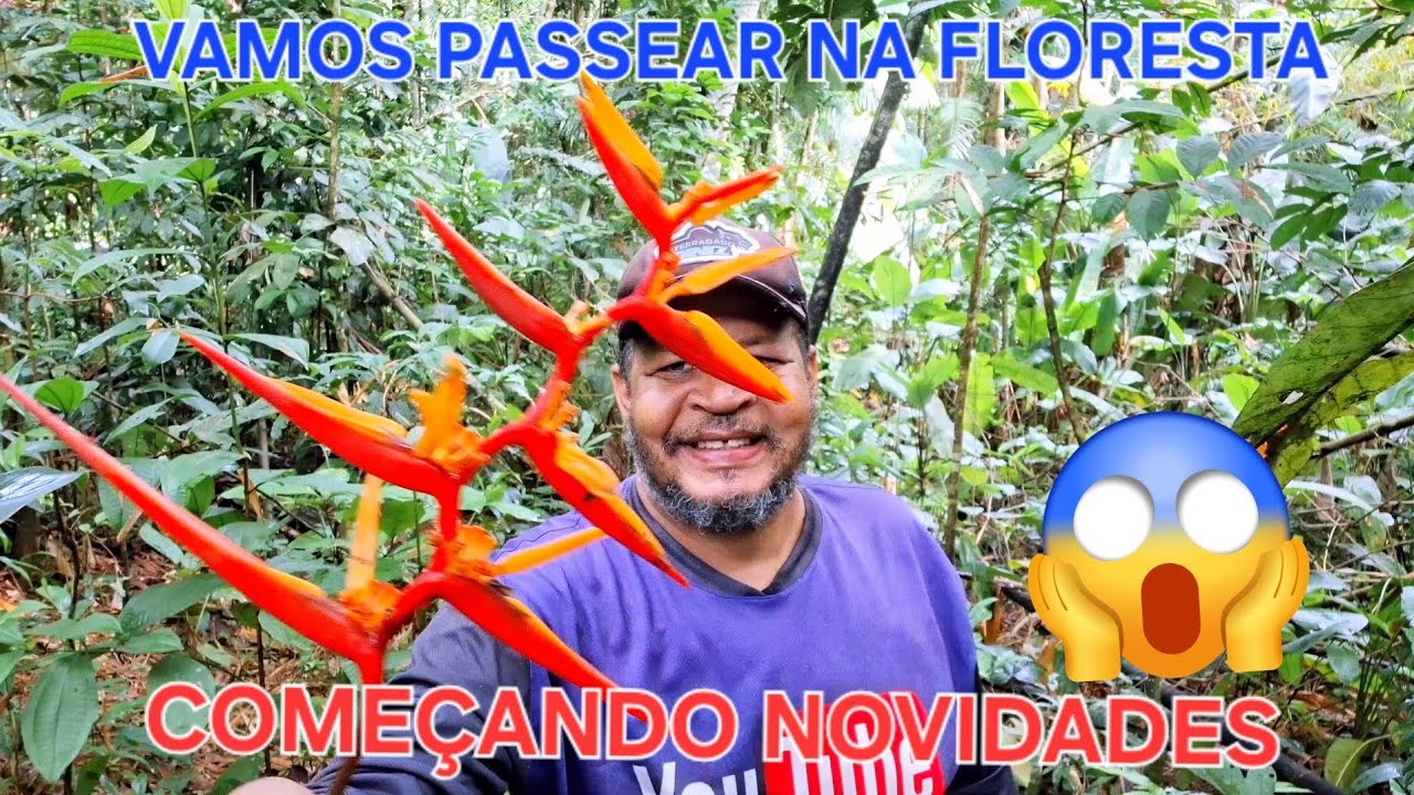 Novo vídeo de resgate de plantas abandonadas #plantas #flores #