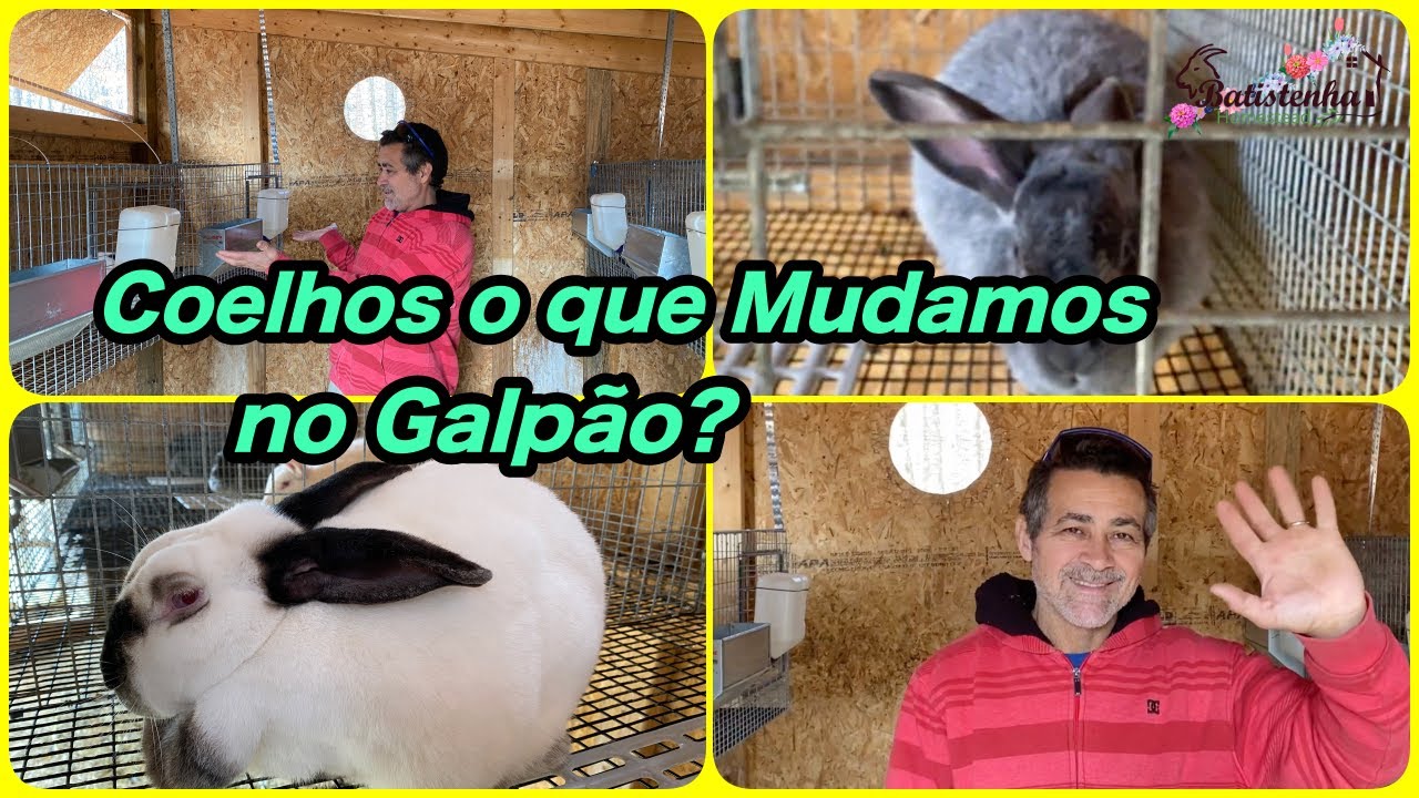 Coelhos o que Mudamos no Galpão? / Rabbits what do we change at the Barn?