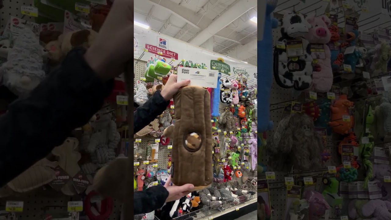 Dog Puzzle Toys