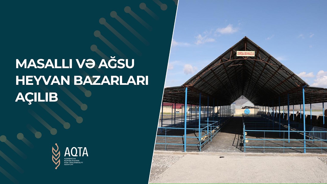 Masallı və Ağsu heyvan bazarları açılıb