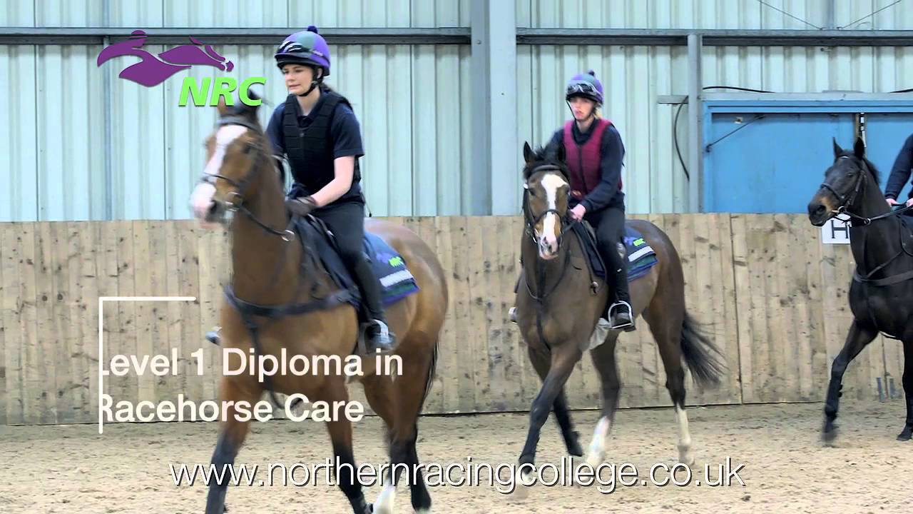 Northern Racing College Sky TV advert