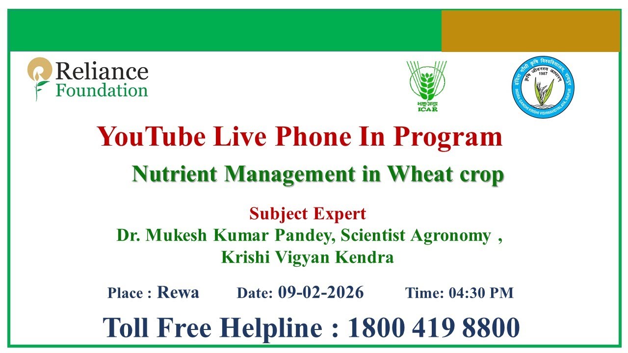 Nutrient Management in Wheat crop