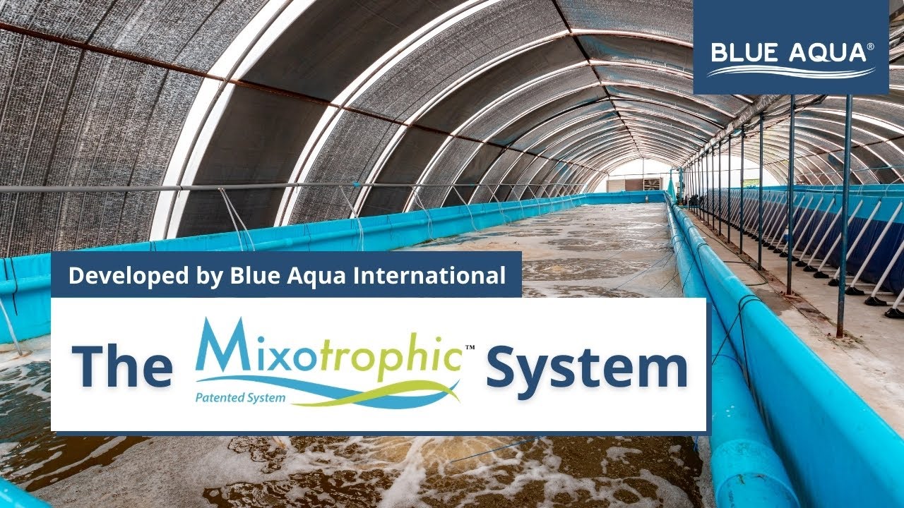 The Mixotrophic™ System
