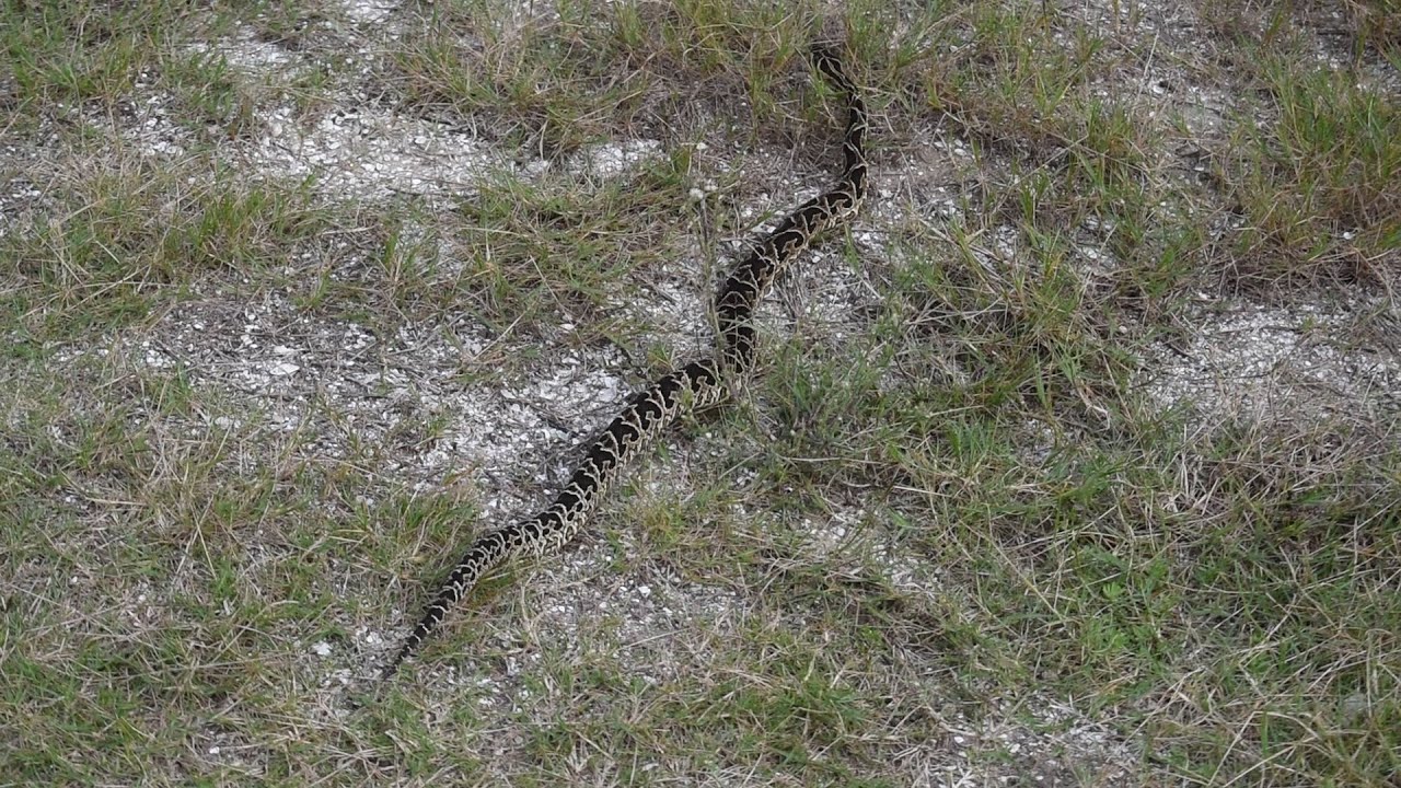 Crucera - La Esmeralda, Uruguay