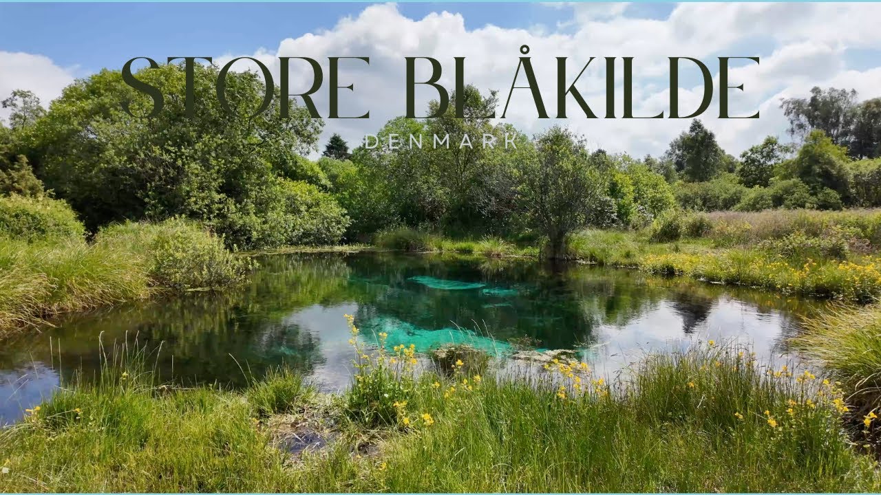 Store Blåkilde: A basin spring in Denmark - A truly unique nature experience  #walkingtour #hiking