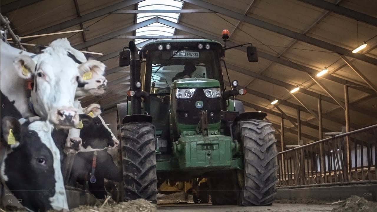 🇵🇱Codzienne Obowiązki w Gr Malewski😱John Deere & JCB🔥