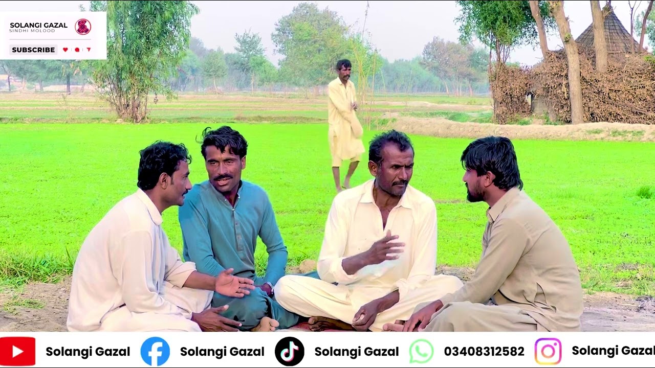 Tu aa tulai roh roi tho| mohbat ki song kafi Gazal| Uris rajar shari| molood| beauty views| Qamar 
