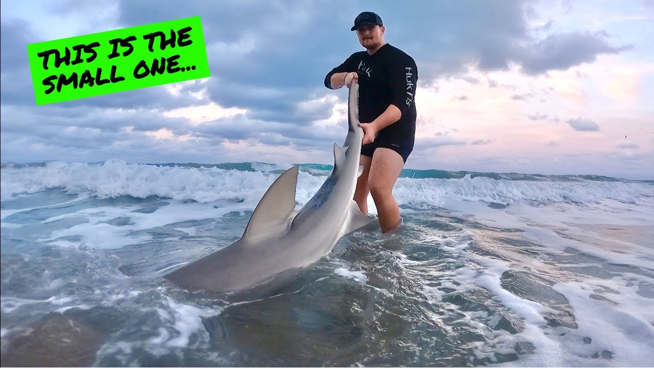 Two PB's!!! | Shark Fishing From The Beach (LBSF)