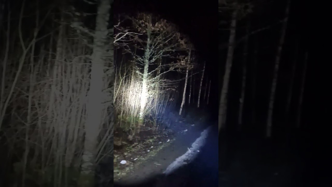 Olight warrior x3 Test