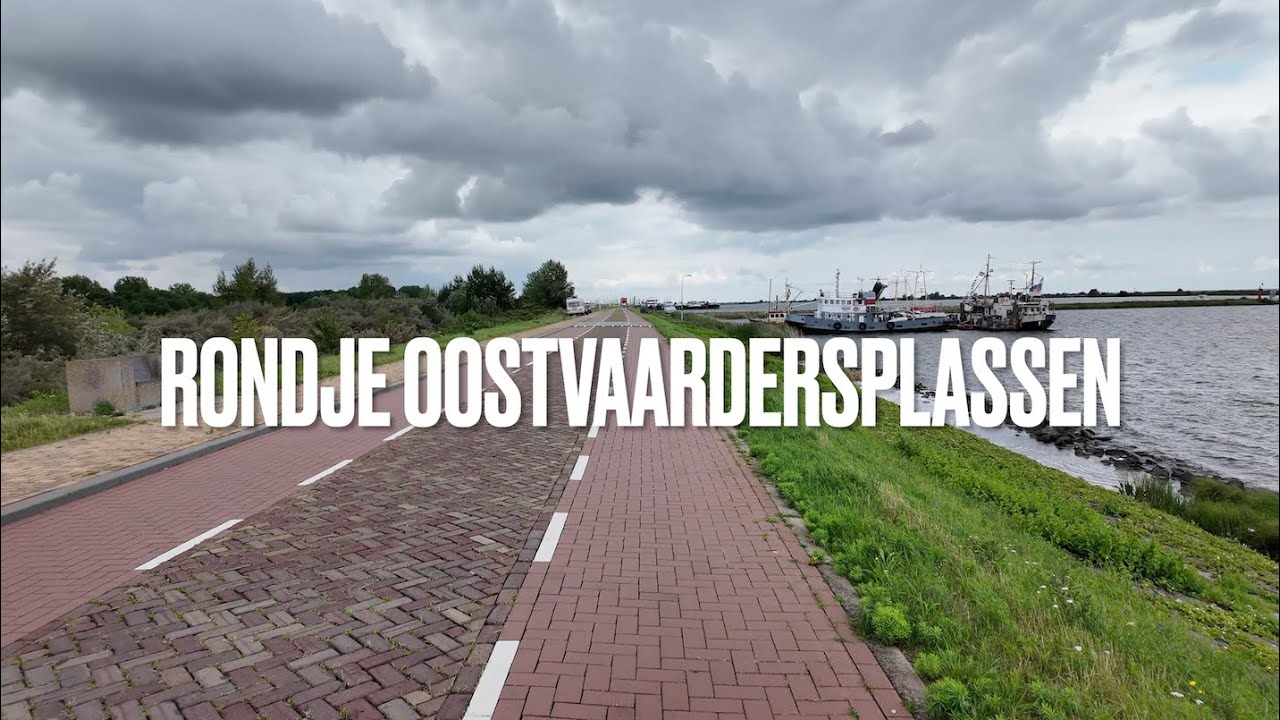 Rondje Oostvaardersplassen