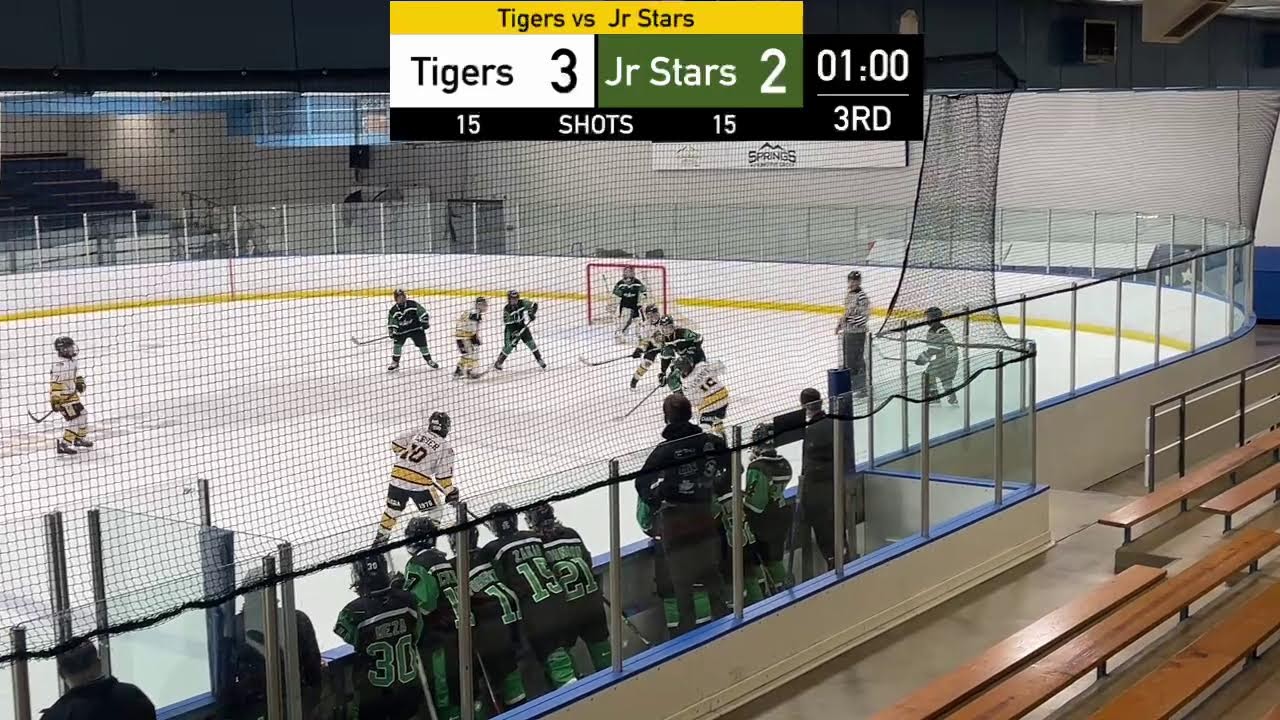 Tigers vs Jr Stars