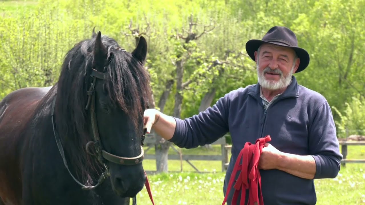 România în bucate: La Năruja în Munții Vrancei (@TVR Iaşi)