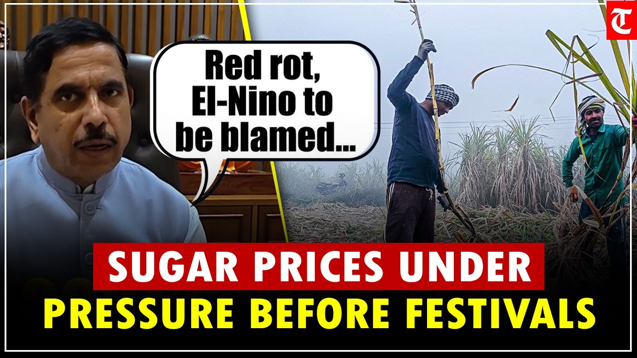 Sugar Prices Under Pressure Ahead Of Festive Season, Govt Moves To Ensure Adequate Supply
