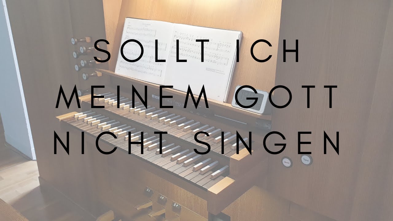Sollt ich meinem Gott nicht singen