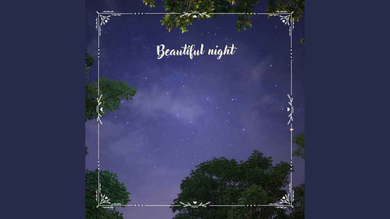 Beautiful night N&deg; 4