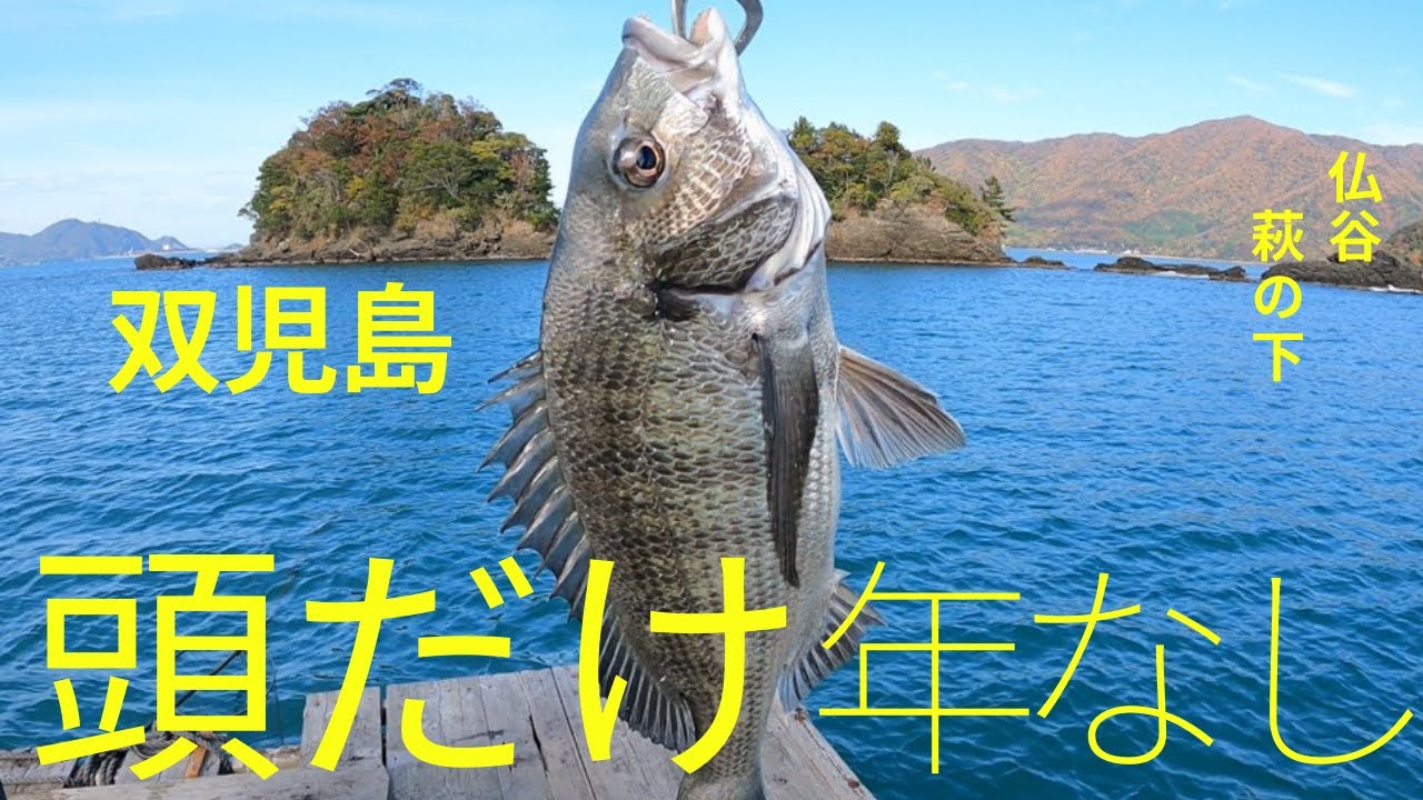 １１月　大住渡船　萩の下（３号筏）