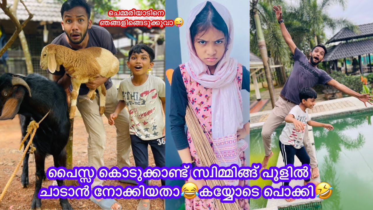പൈസ്സ കൊടുക്കാണ്ട് സ്വിമ്മിങ്ങ് പൂളിൽ ചാടാൻ നോക്കിയതാ😂 കയ്യോടെ പൊക്കി🤣