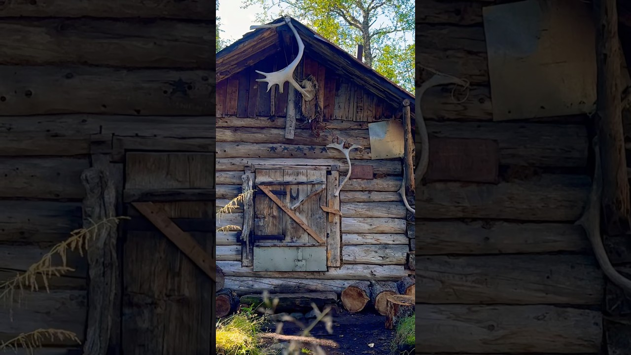 Балаган 🛖 изба в лесу #путешествиепороссии #тревелвлог #mountainhut #travel