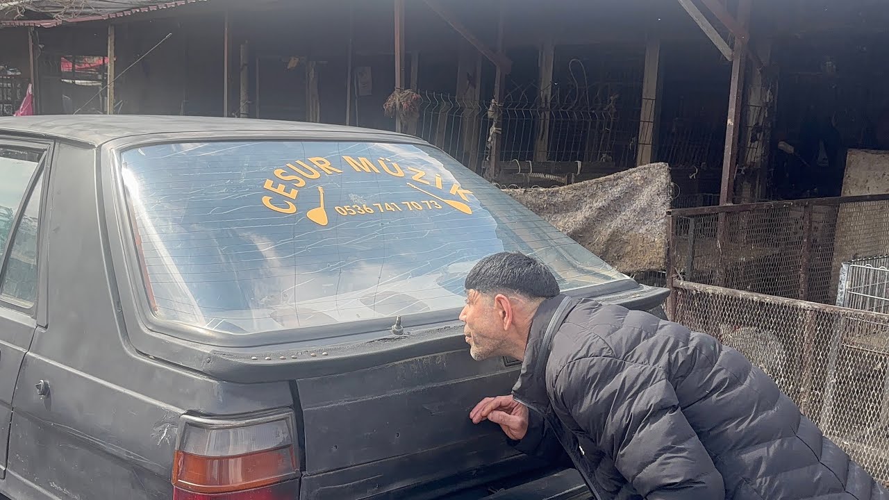 Hiko baba - Pusuya Yatmış kimi kolluyor