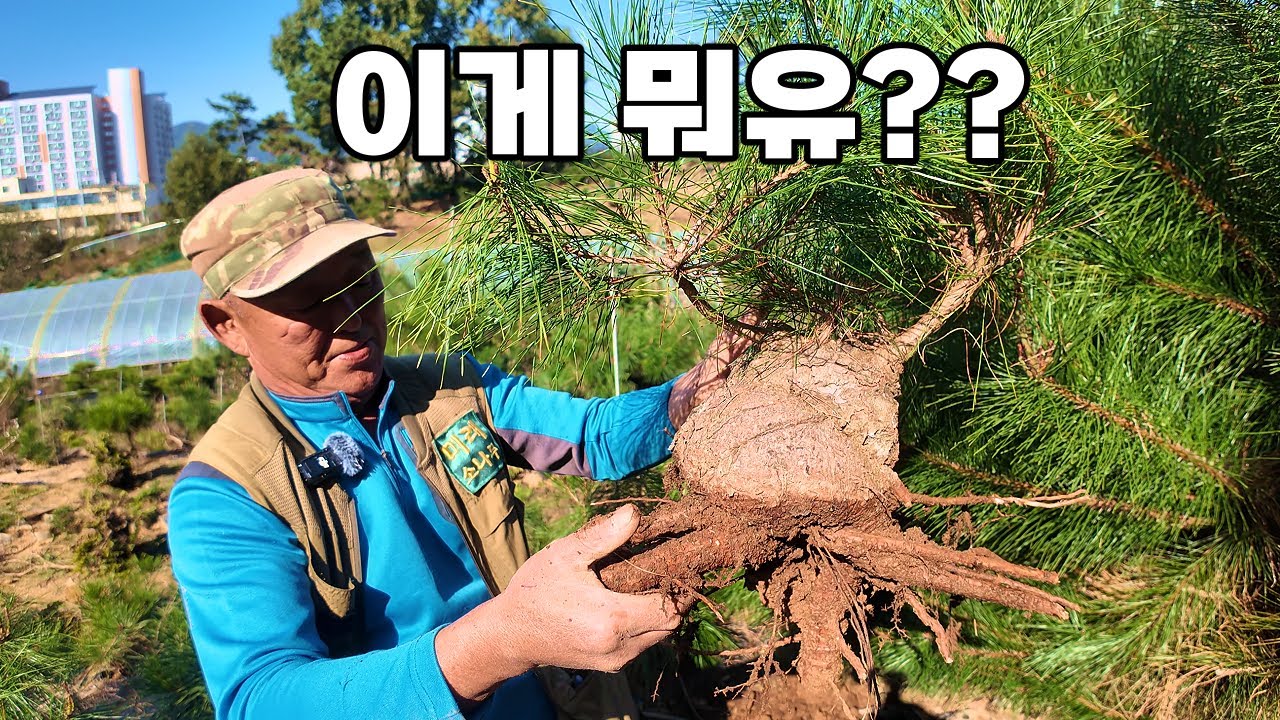 밭에서 화분으로 심어보자!