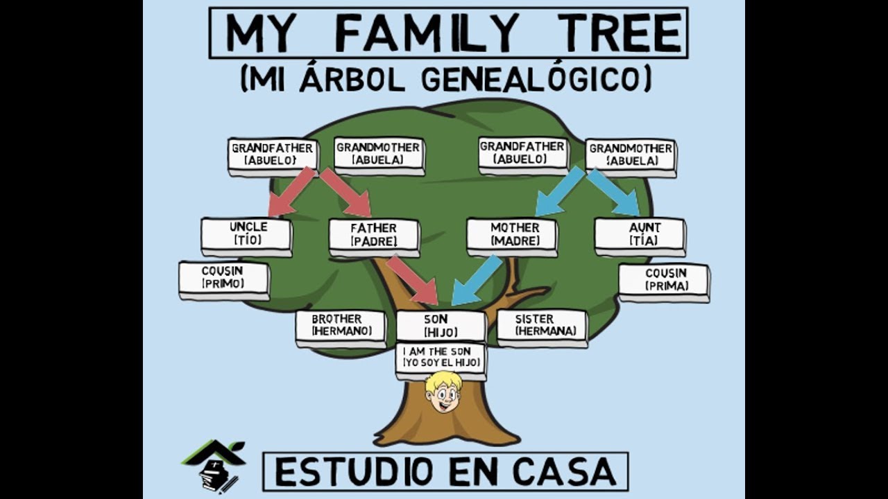 My Family Tree - Mi árbol genealógico