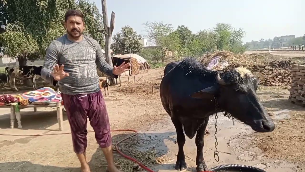 Aaj main khatiyan nahari rahay garmi bahut pyari rhi hay
