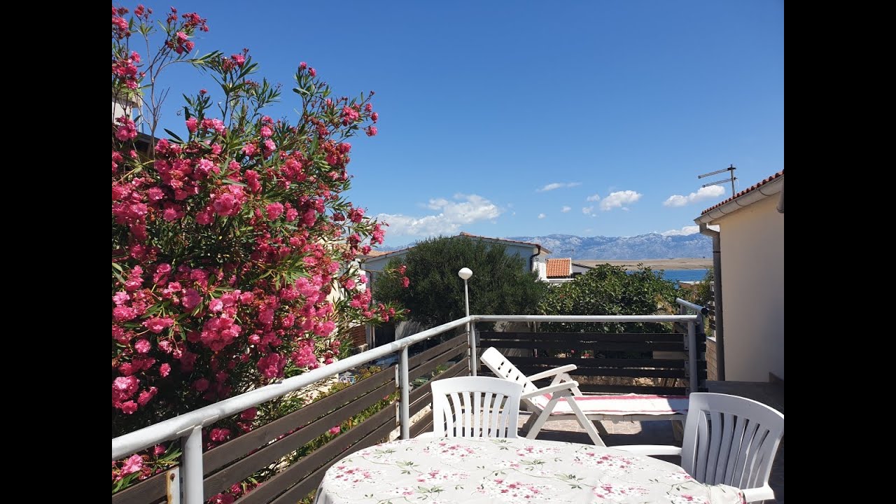 Apartment Žitna uvala, Vir, Croatia holiday