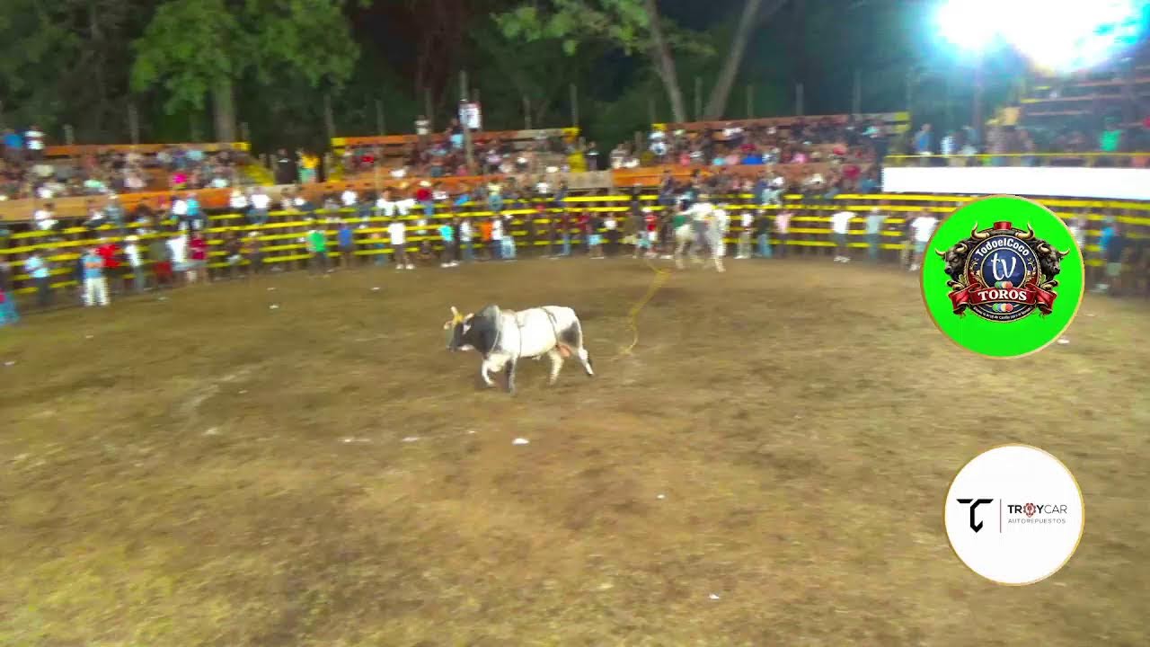 Quinta fecha de Montaderas desde Playas del Coco 2026