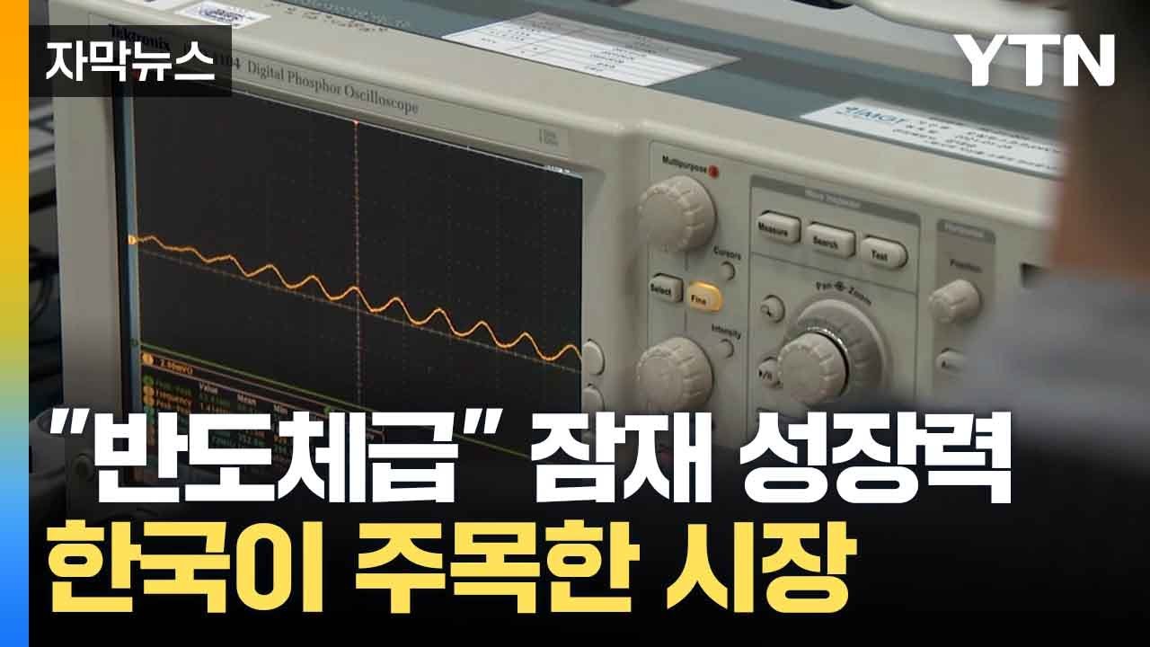 [자막뉴스] 성장력 점차 커지는 시장...의료기기 주목한 한국 / YTN