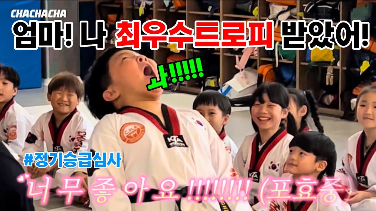 [차차차승급심사] 기합넣다가 털썩 쓰러지는 정기승급심사 🫢 🫢