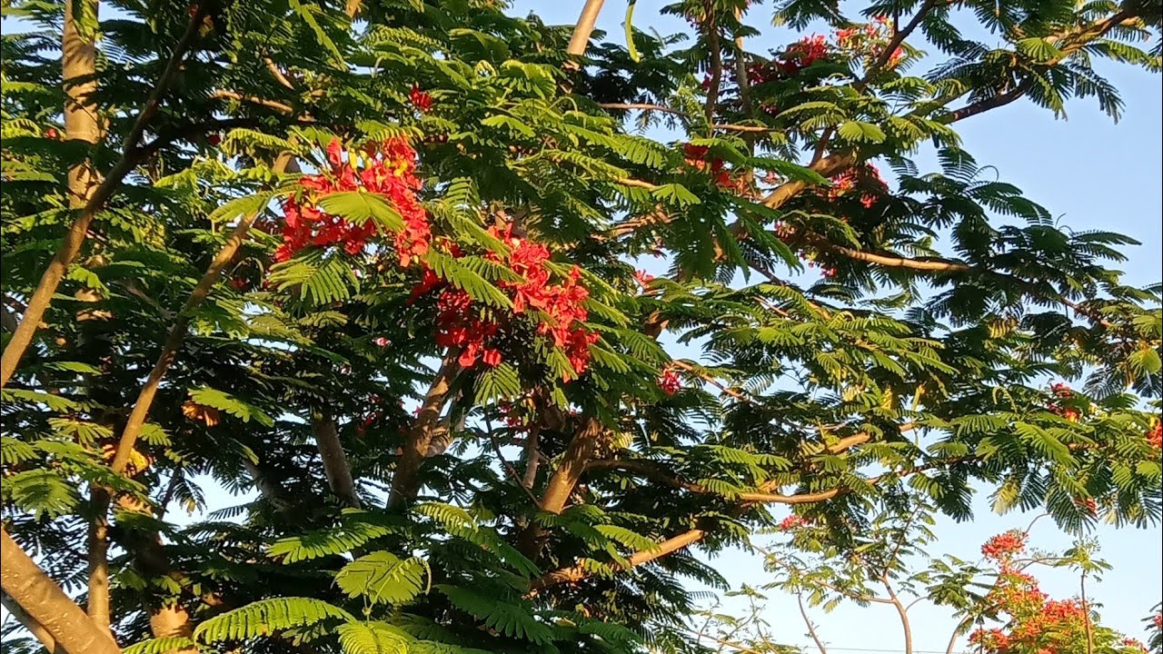 A day in my life at Bellavita Iloilo