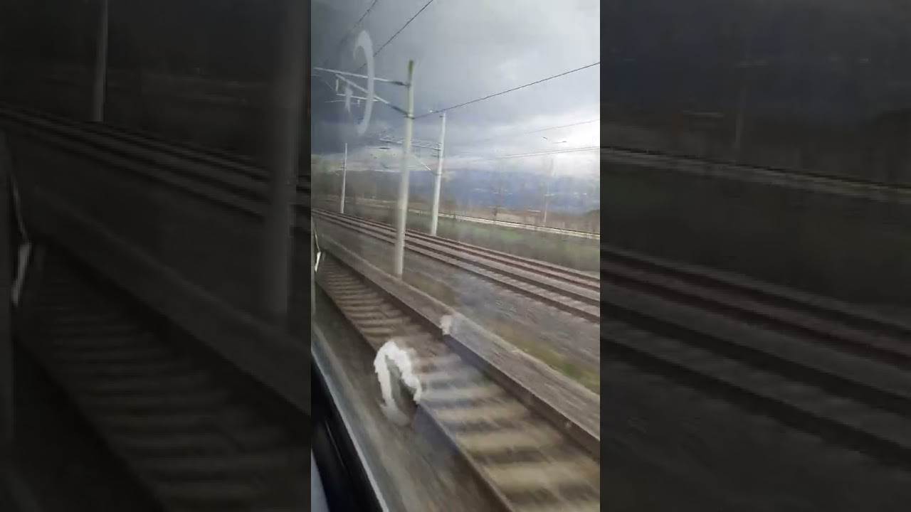 Sapanca Izmit Adapazari Treni