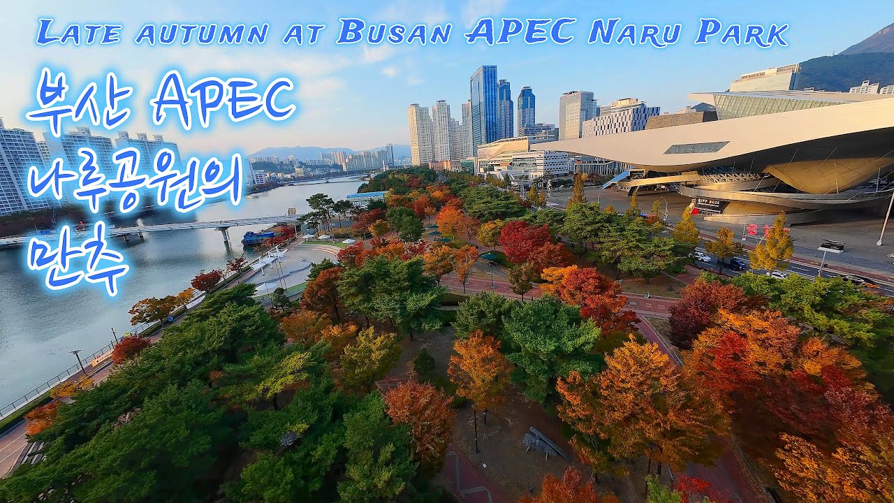 부산 APEC 나루공원의 만추 드론영상 Late autumn at Busan APEC Naru Park drone video