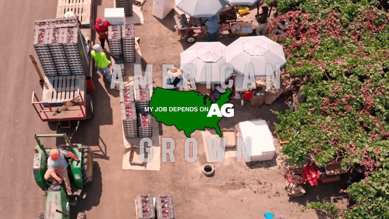 American Grown: My Job Depends On Ag | Faces in the Fields