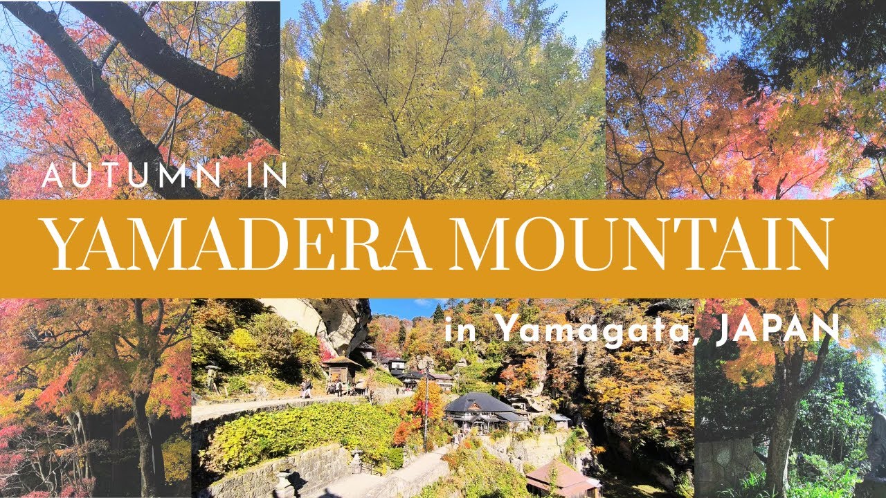 Autumn Foliage in Yamadera Mountain, Yamagata - Napakaganda!