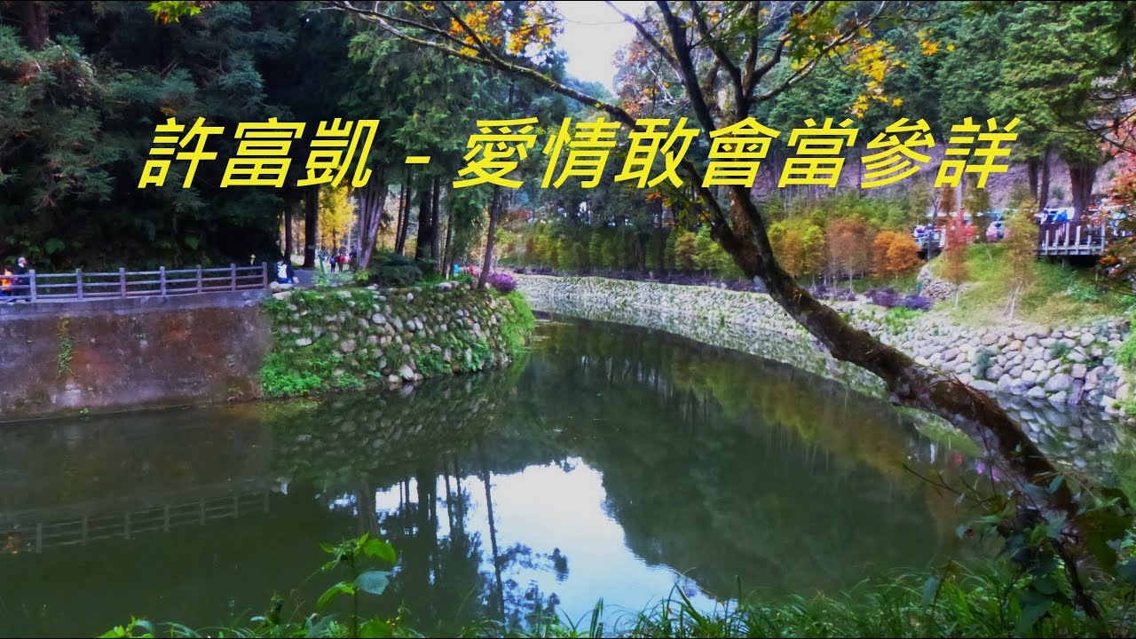 許富凱 - 愛情敢會當參詳   。 (杉林溪F1)
