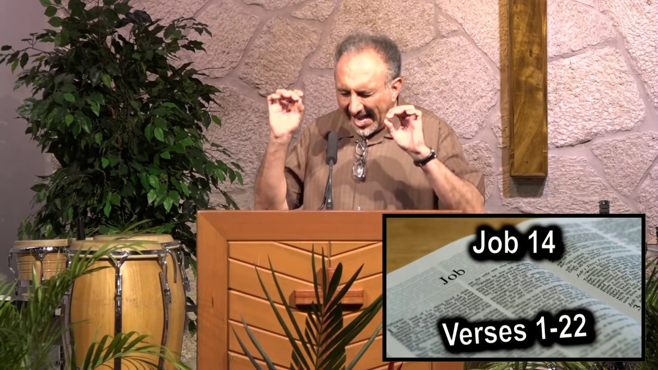 Job 14-18
