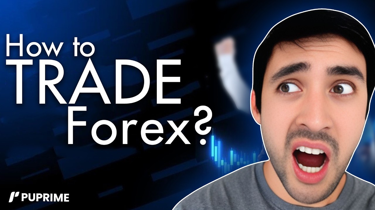 How to Trade Forex? PU Prime Web Trader Platform Guide 2026