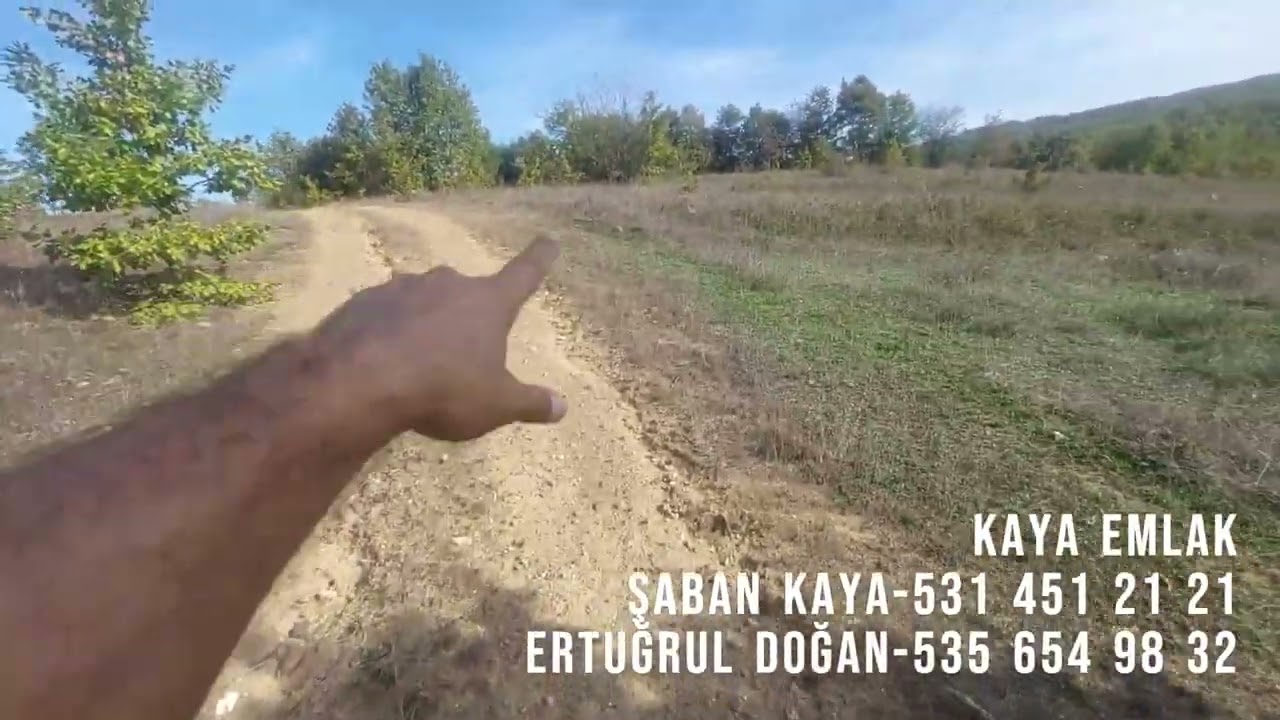 Satılık 15.933 m2 ormana ve yola cepheli tarla-Bilecik pazaryeri-112-2