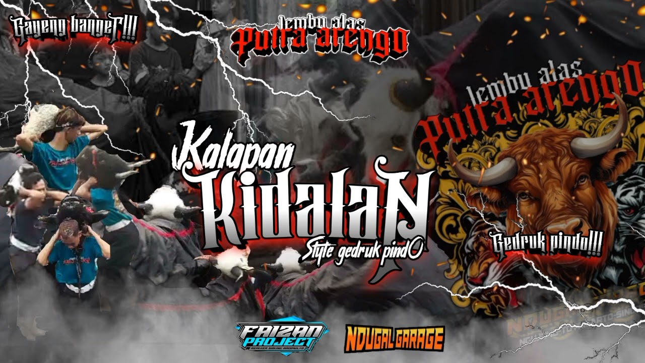 TEMBANG  BANTENGAN‼️|KALAPAN X KIDALAN | LEMBU ALAS PUTRA ARENGO| @faizanprojectterlarani