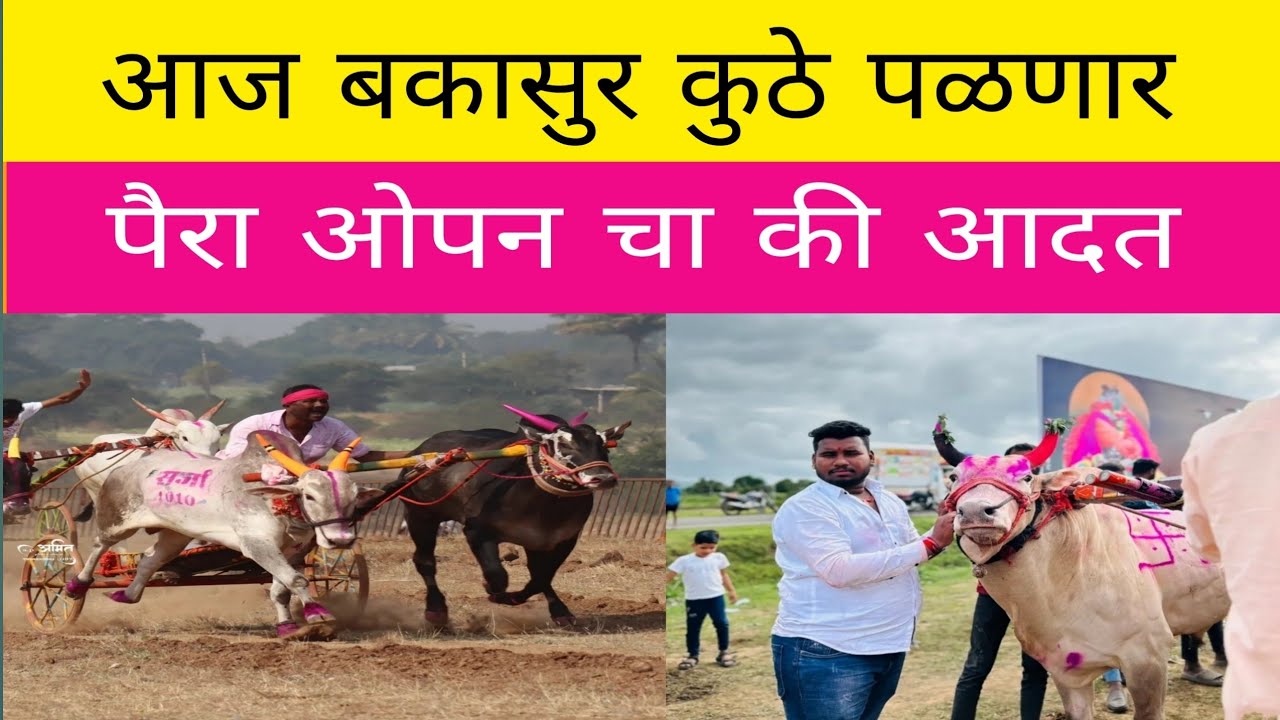 आज बकासुर कोणत्या मैदानात पळणार आहे ? पैरा कोण आहे बकासुरचा ? कोणत्या गटात पळणार आहे बकासुर देव ?