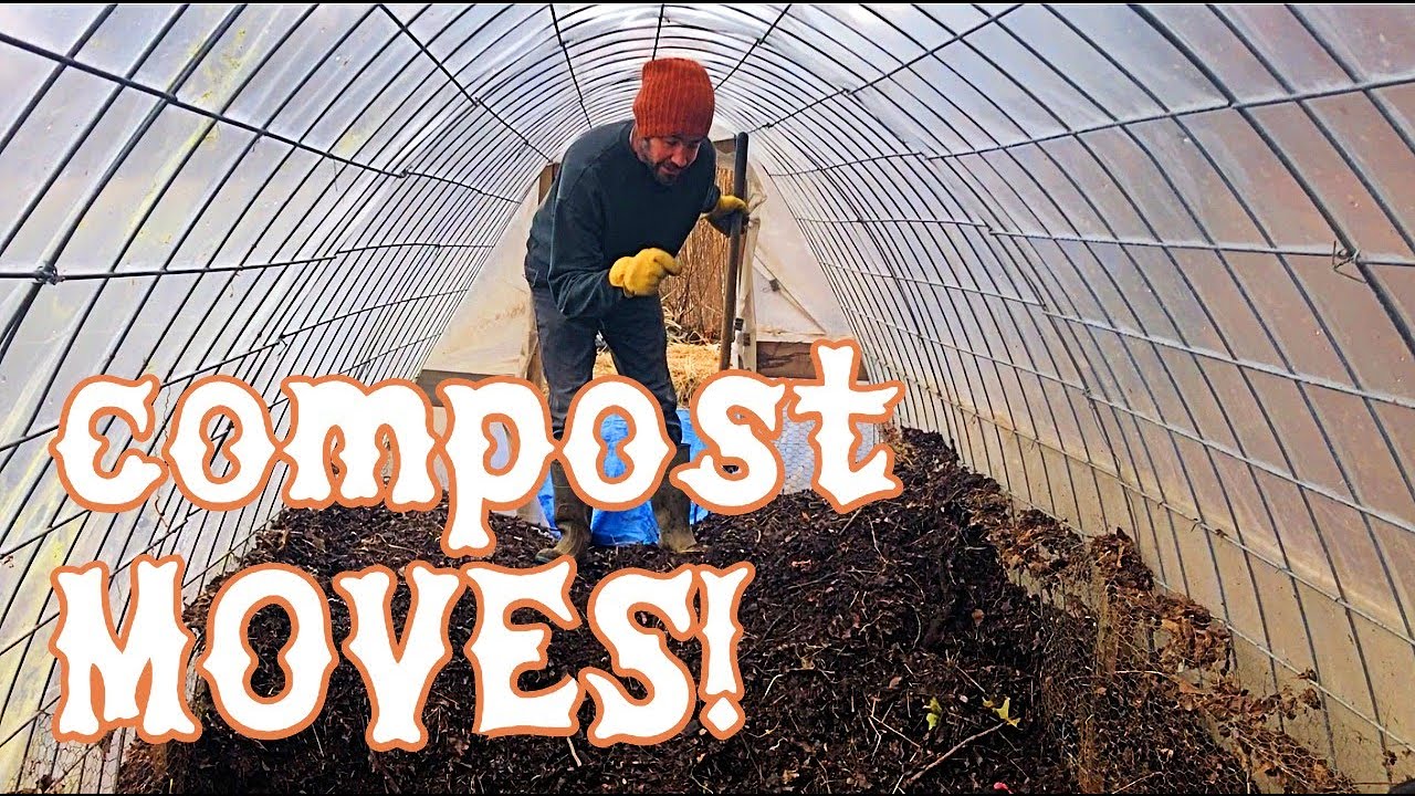 Compost MOVES!  Chickens generate HUGE fertility in small yard.