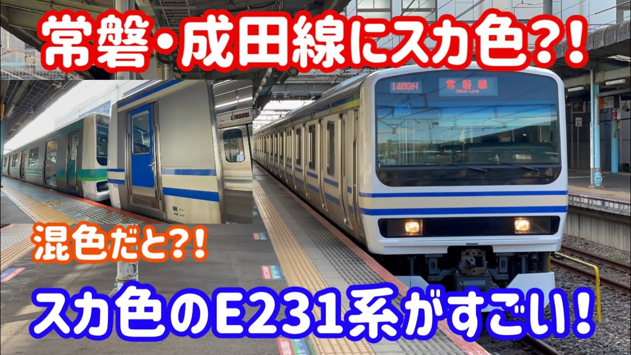 【E231系のスカ色？！】常磐・成田線を走る謎のE231系
