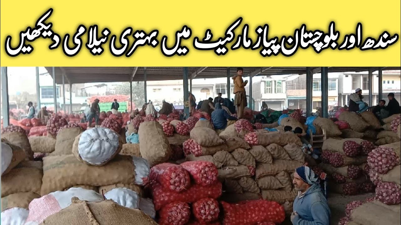 Pyaz Ke Boli || Sindh aur Balochistan Pyaz Market Update || Sabzi Mandi daily rates update ||